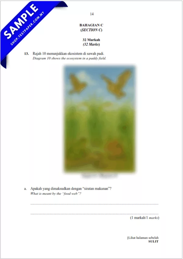 Sumber Ujian UPSA Sains Tahun 5 2025-2026 Dalam Word+PDF Untuk Pertengahan Tahun