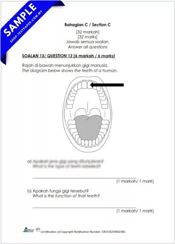 PDF Ujian Sains Akhir Tahun 3 2025 Dalam Word dan JSU